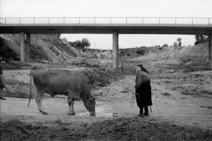 Photographic Social Vision - Construcción de la autopista del Atlántico. Daños en casas y cultivos. Pontevedra, 1977