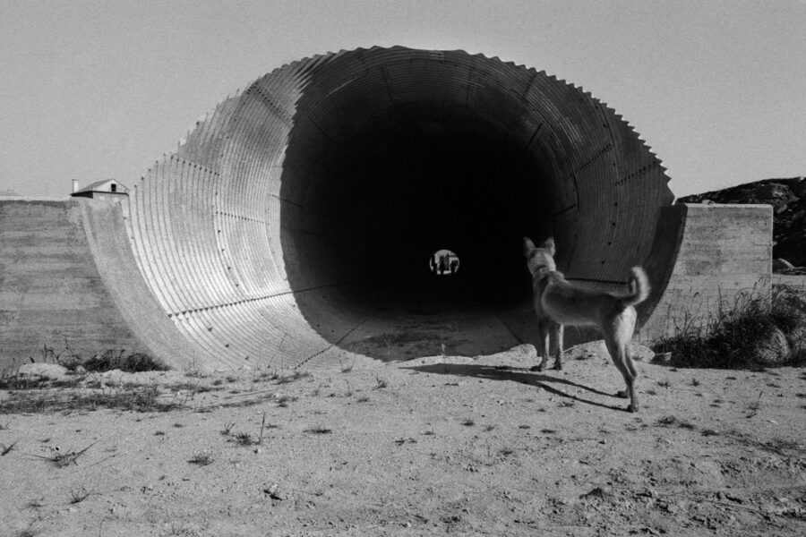 Photographic Social Vision - Construcción de la autopista del Atlántico. Daños en casas y cultivos. Pontevedra, 1977