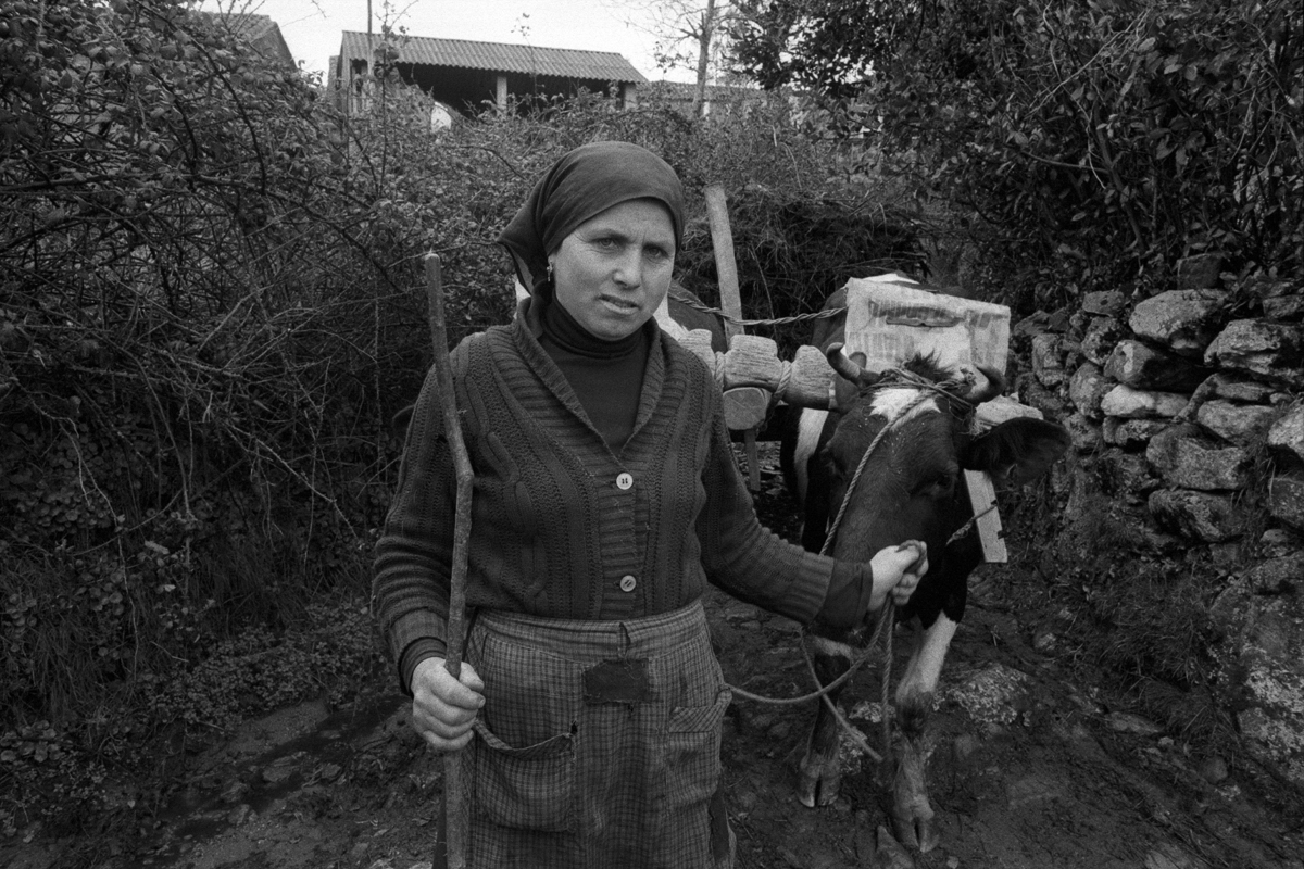 Photographic Social Vision - Vida cotidiana labriega