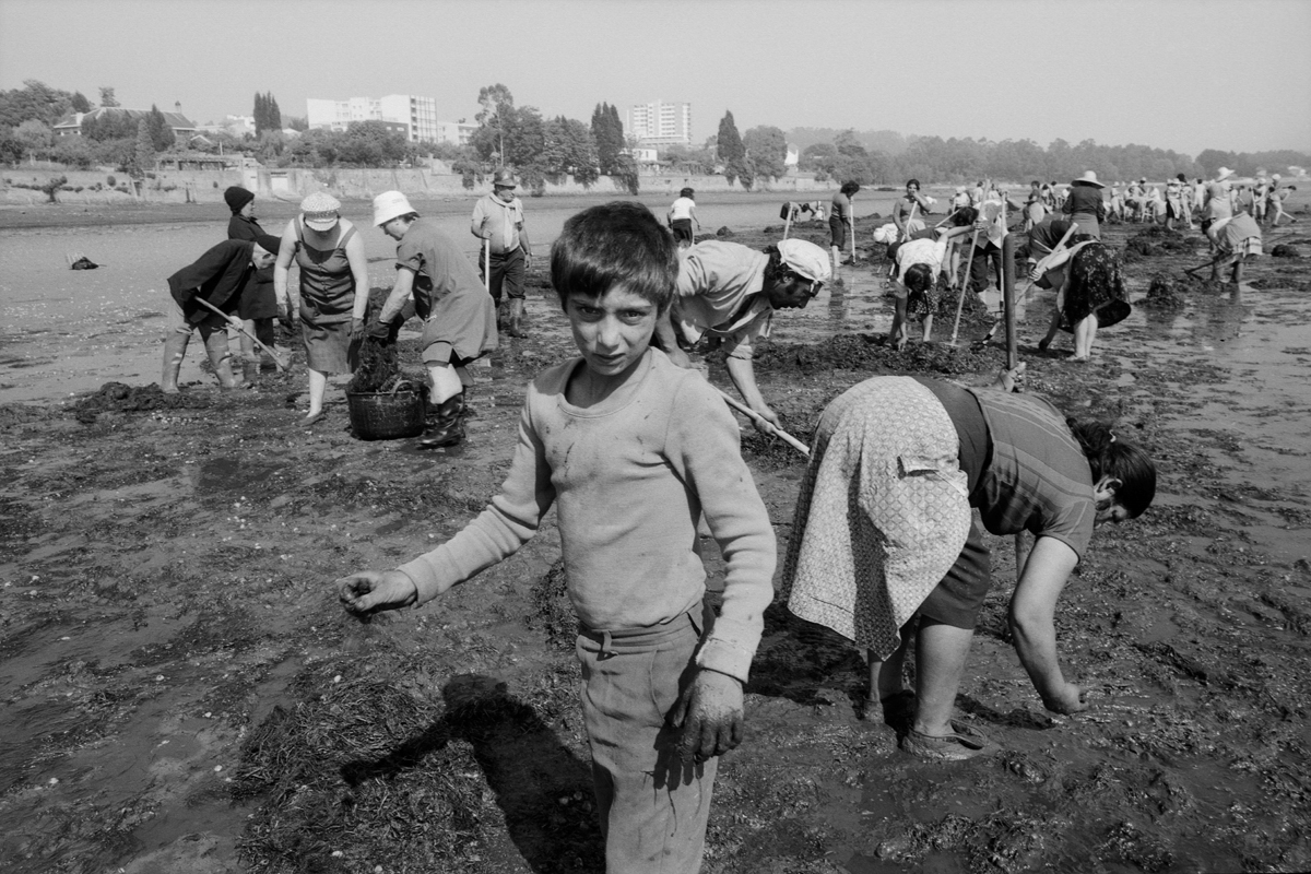Photographic Social Vision - Mariscadors. Pontevedra, 1978.