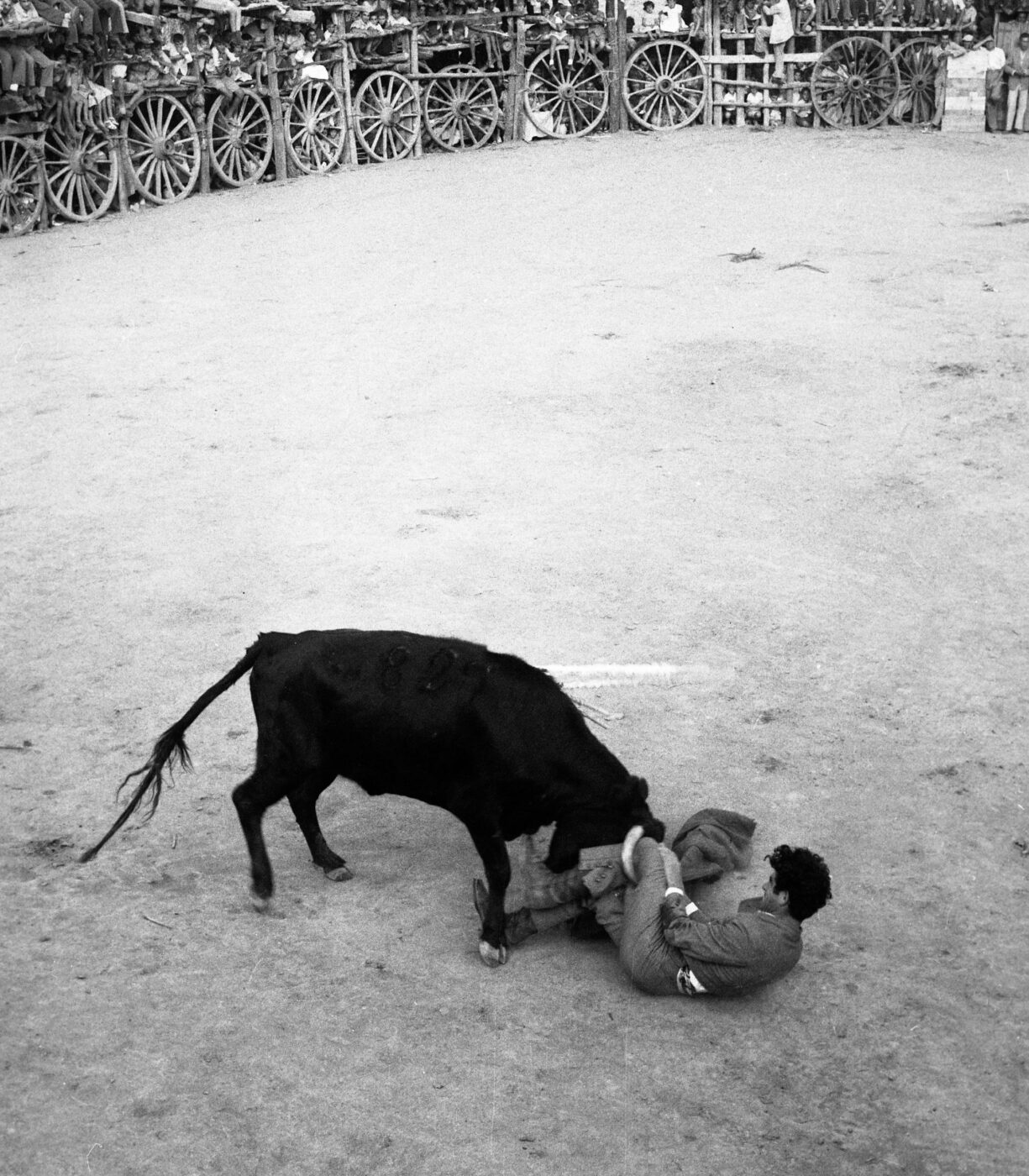 Photographic Social Vision - Rodant. L’Algaba, Sevilla 1957