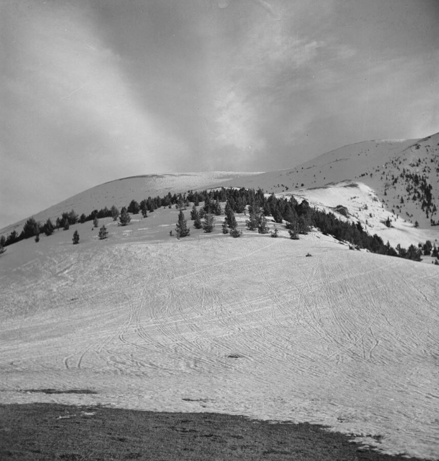 Photographic Social Vision - Sense títol, c. 1940