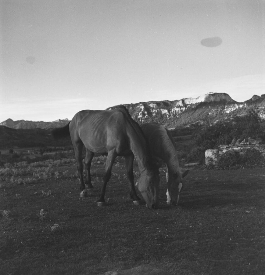 Photographic Social Vision - Sense títol, c. 1940