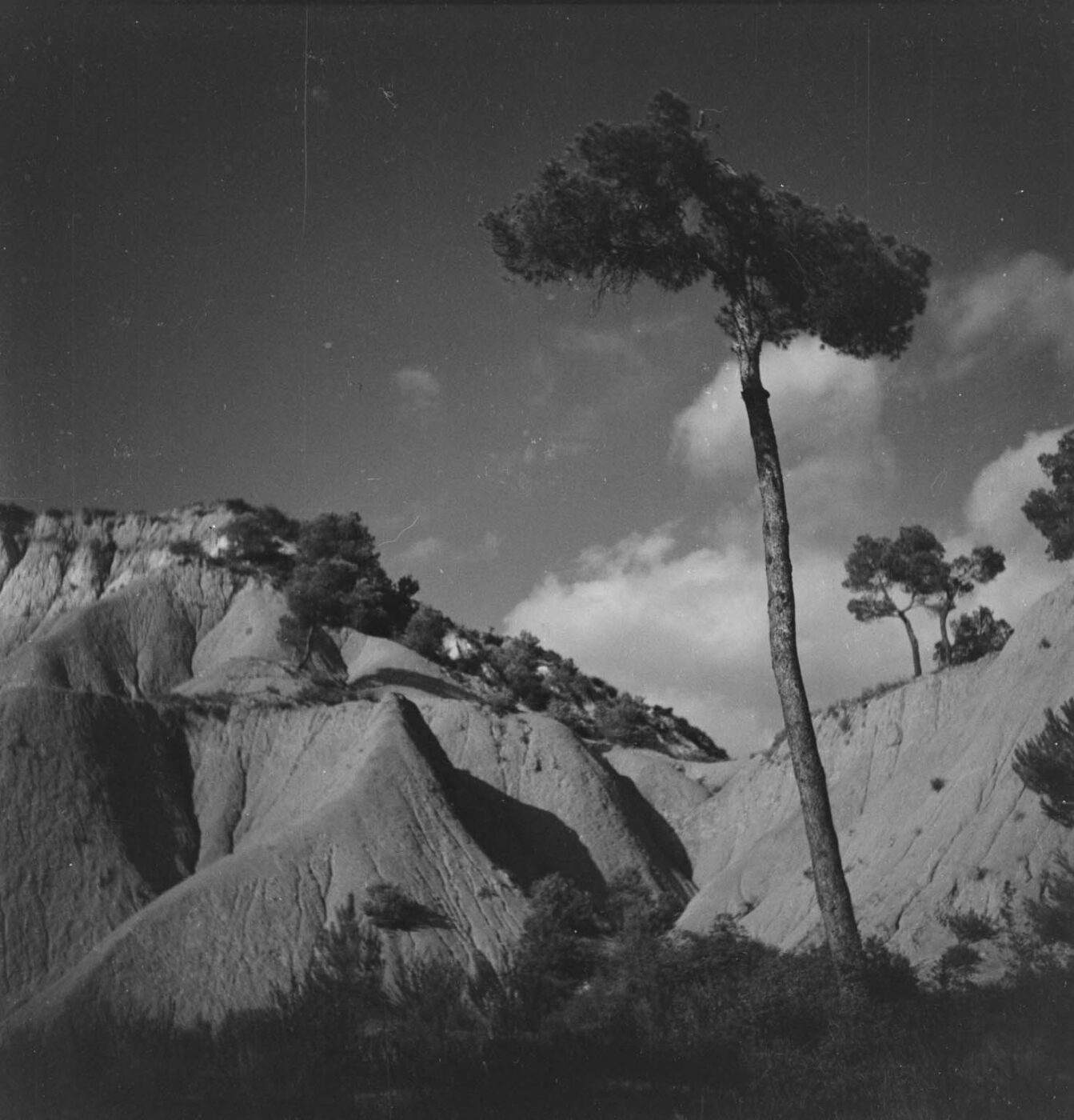Photographic Social Vision - Sense títol, c. 1940