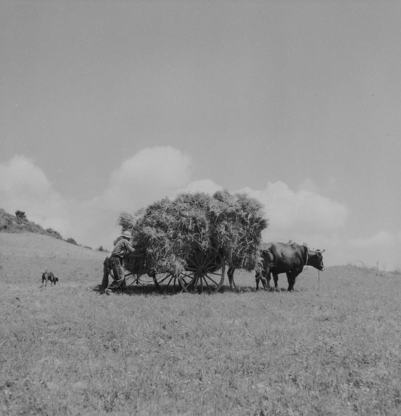 Photographic Social Vision - Sin título, c. 1940