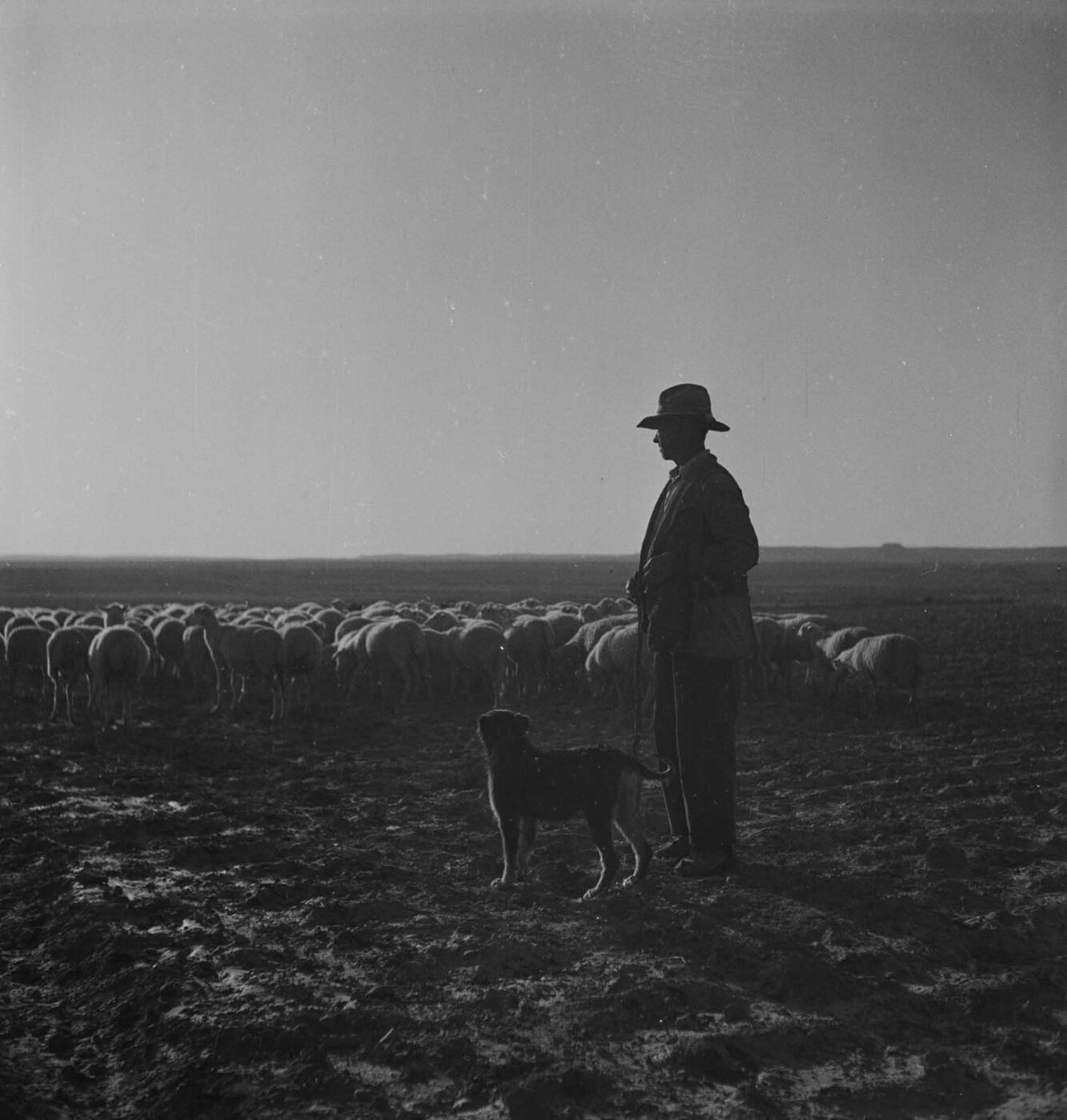 Photographic Social Vision - Sin título, c. 1940