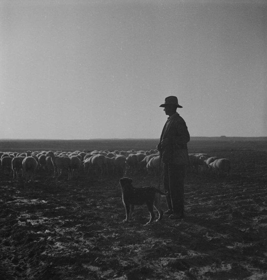 Photographic Social Vision - Sense títol, c. 1940