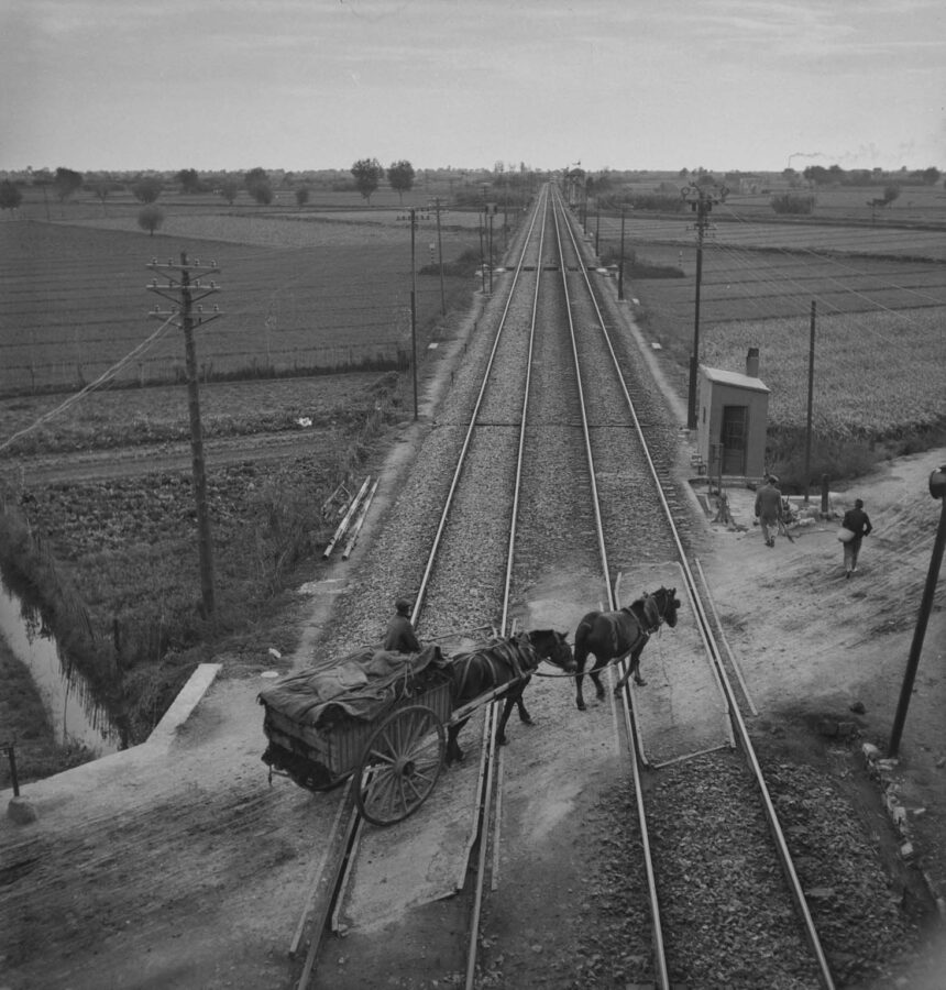 Photographic Social Vision - Sense títol, c. 1940