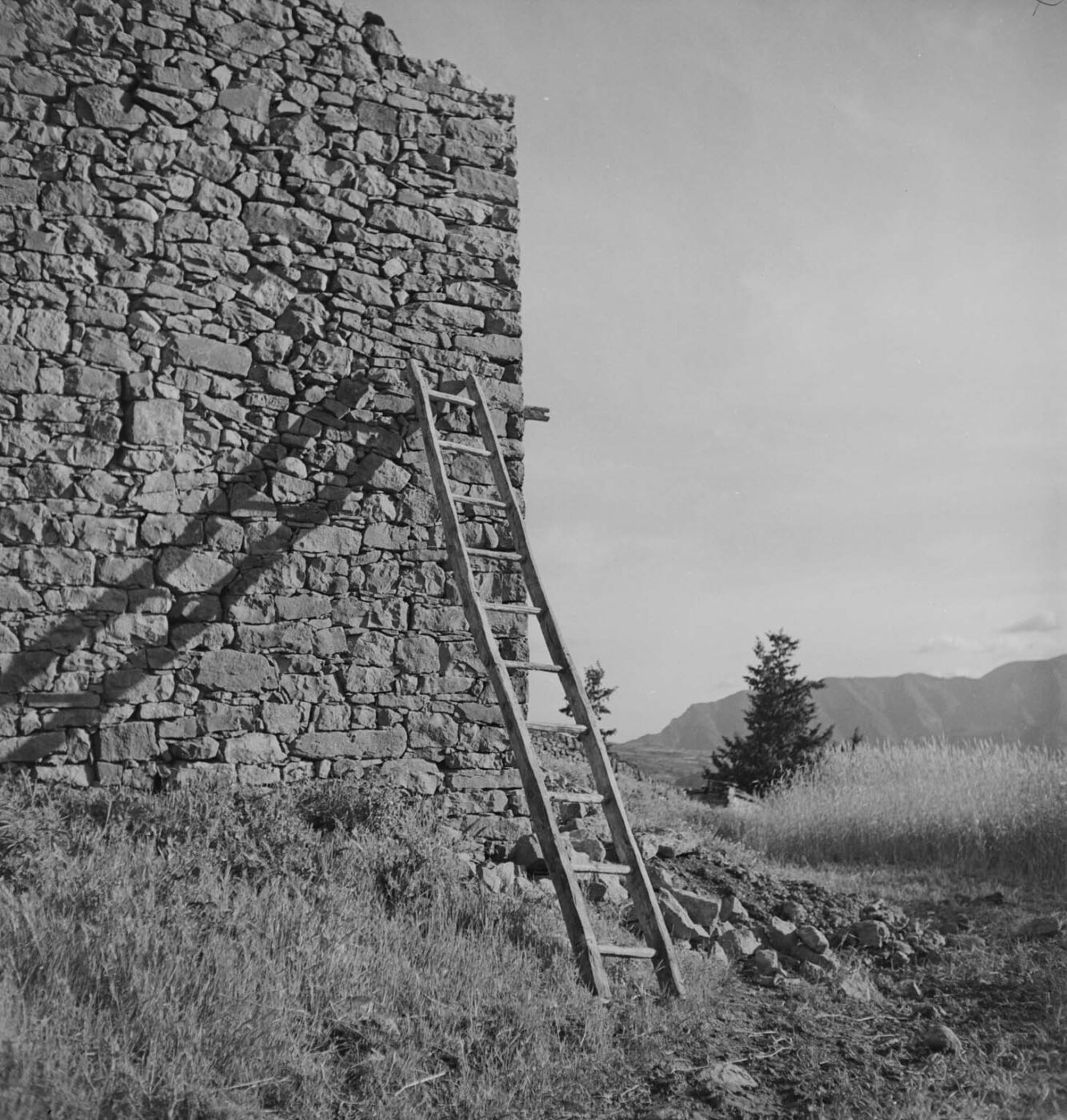 Photographic Social Vision - Sense títol, c. 1940