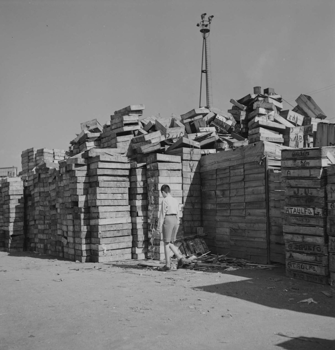 Photographic Social Vision - Puerto de Barcelona, c. 1940