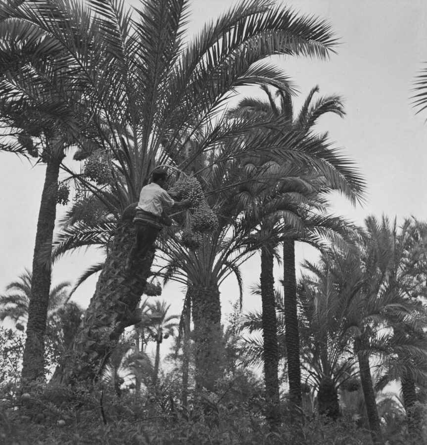 Photographic Social Vision - Marroc, c. 1940
