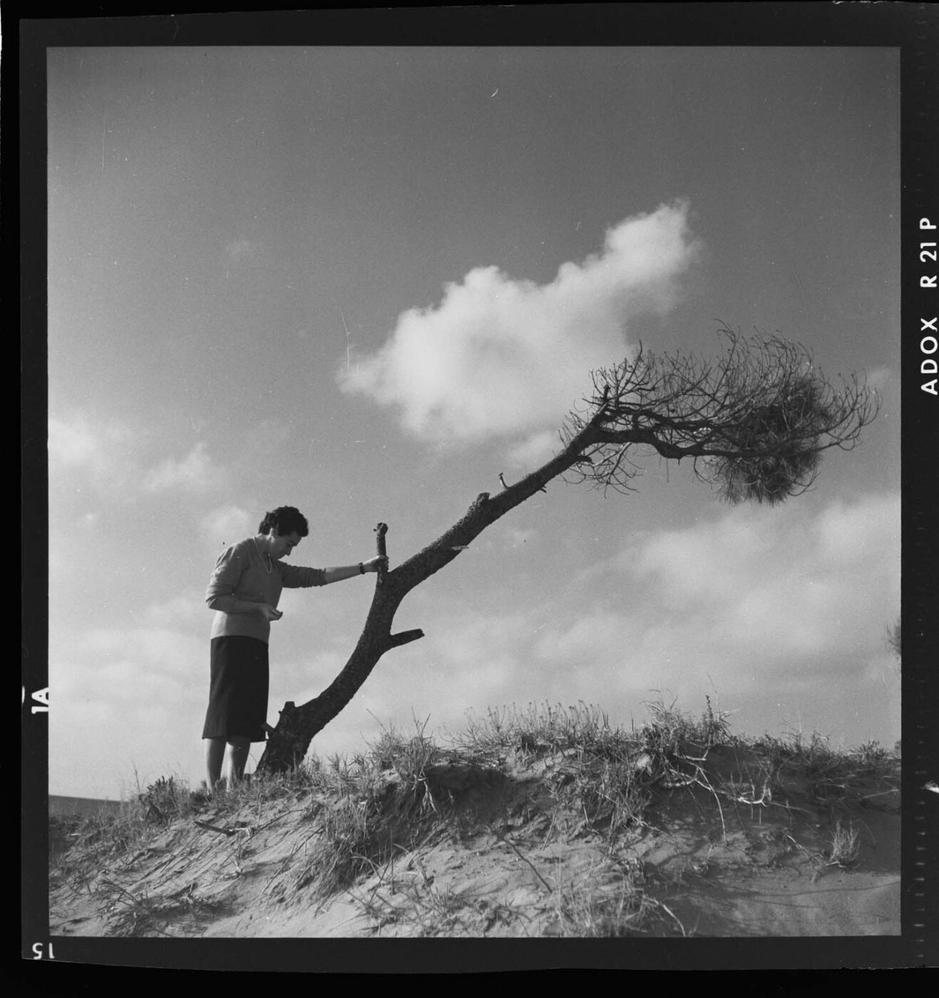 Photographic Social Vision - Sense títol, c. 1940