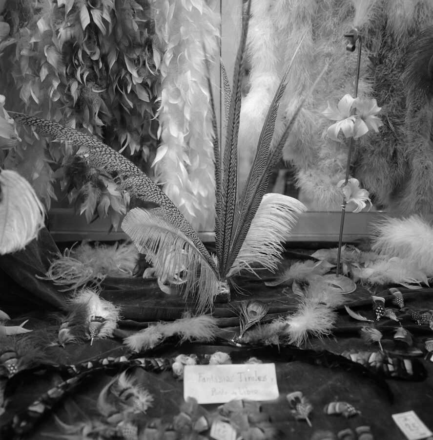 Photographic Social Vision - Sense títol