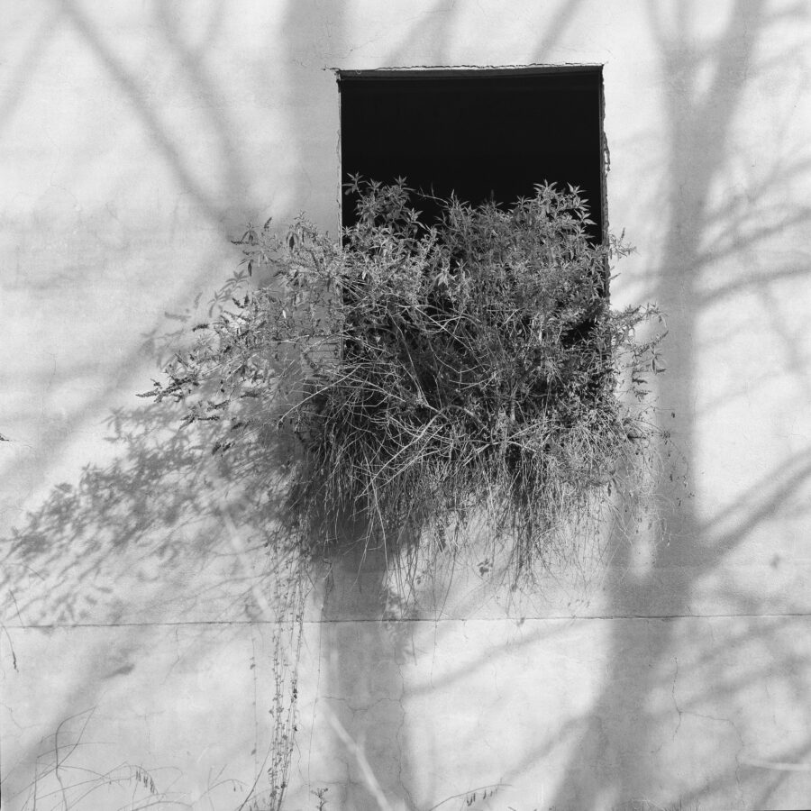 Photographic Social Vision - Colonia téxtil Salou-Baurier. Roda de Ter, Barcelona, 2009