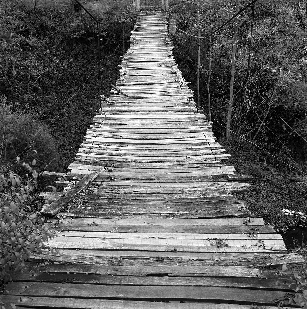 Photographic Social Vision - Sin título