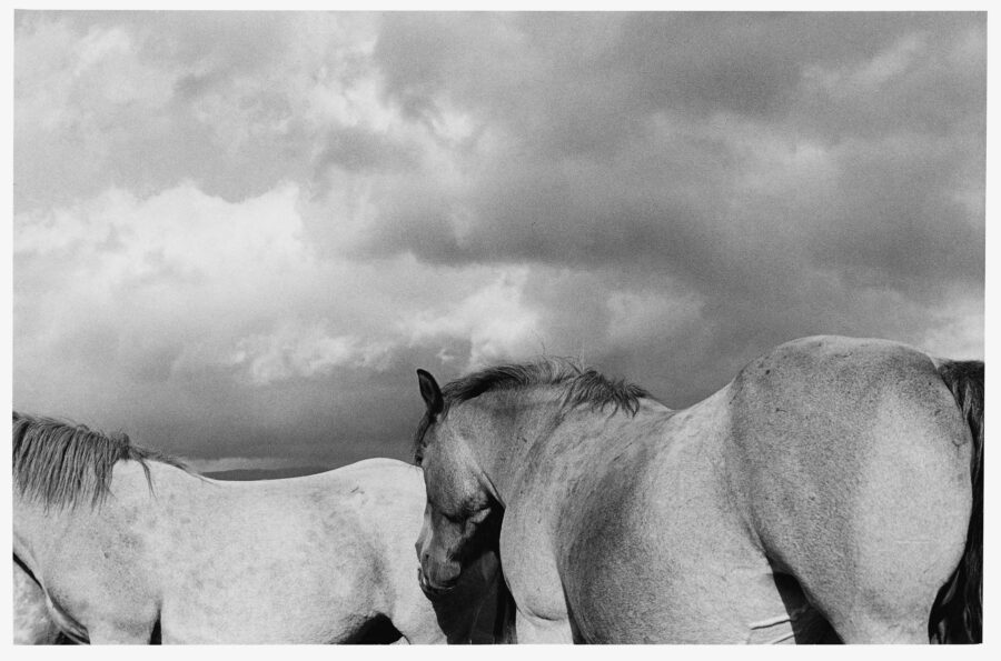 Photographic Social Vision - La Molina. La Molina, 1979
