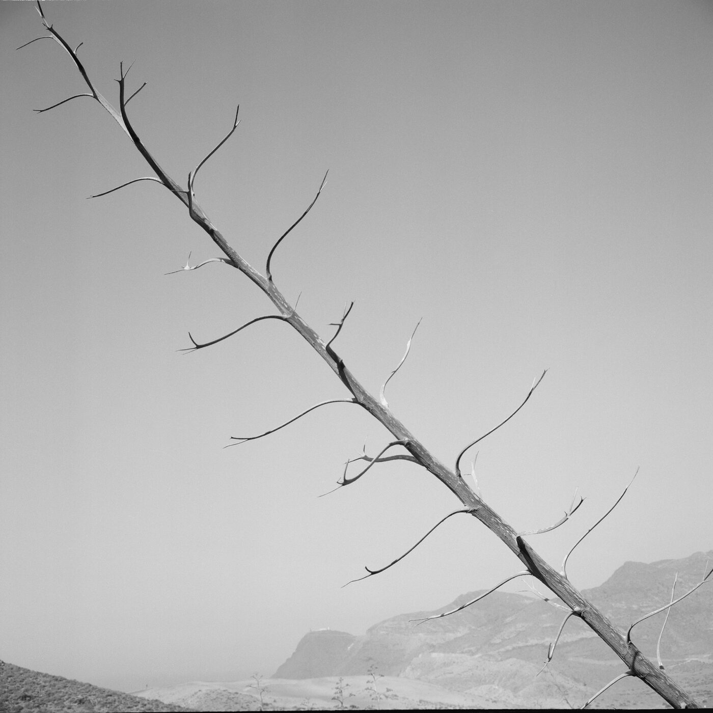 Photographic Social Vision - Cabo de Gata, Almeria, 1999