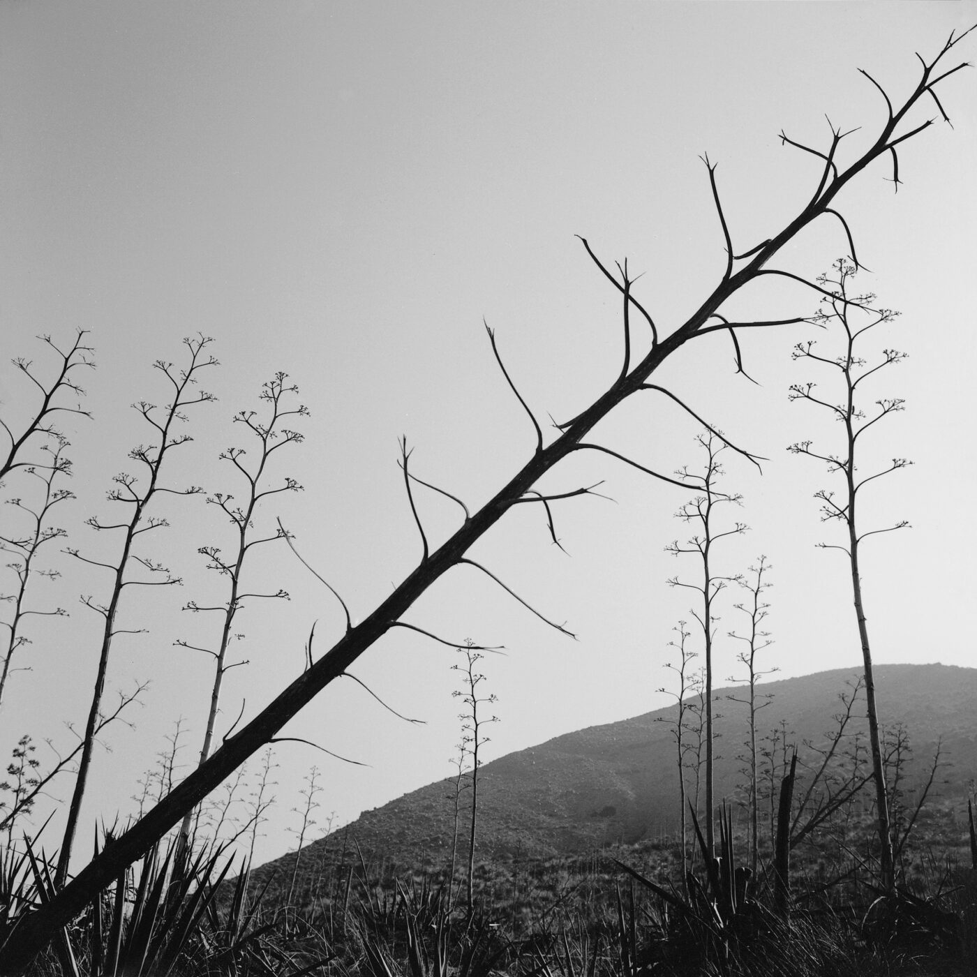 Photographic Social Vision - Cabo de Gata. Almeria, 1999