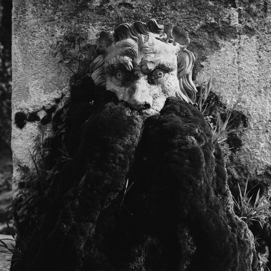 Photographic Social Vision - Can Missé. Sant Vicenç de Montalt, Barcelona, 1981