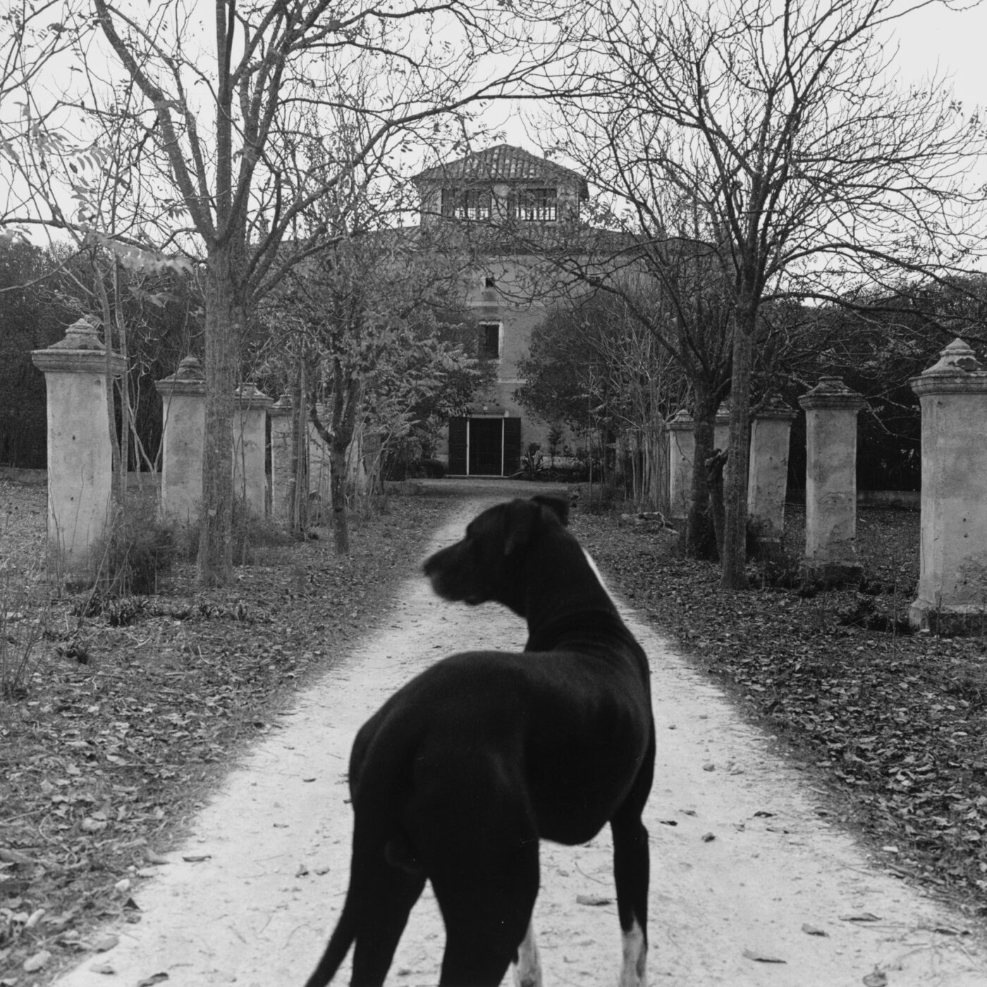 Photographic Social Vision - Son Collet. Santa Maria del Camí, Mallorca, 1983