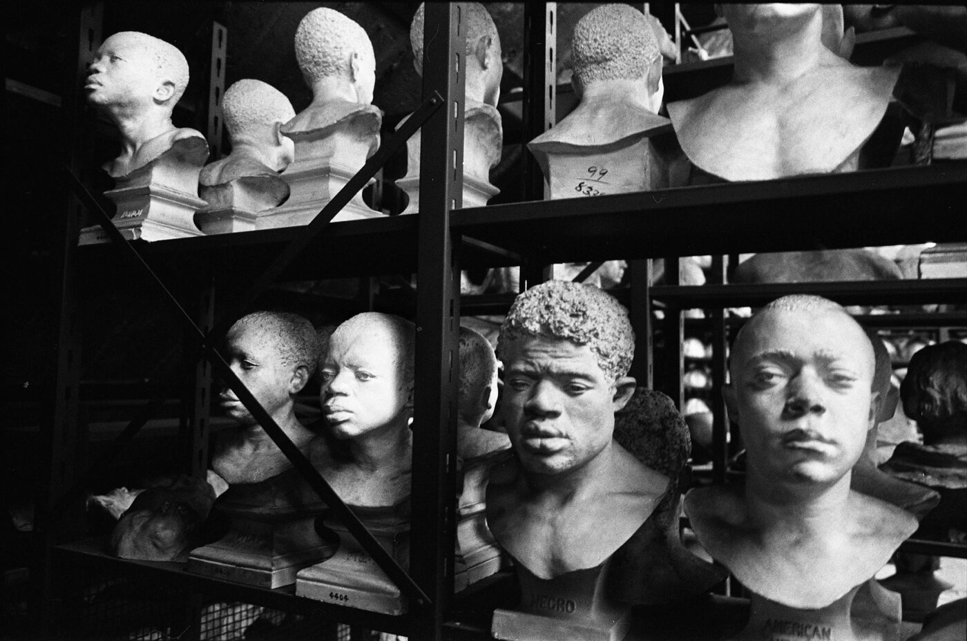 Photographic Social Vision - Bustos almacenados en The American Museum of Natural History. Nueva York, 1981