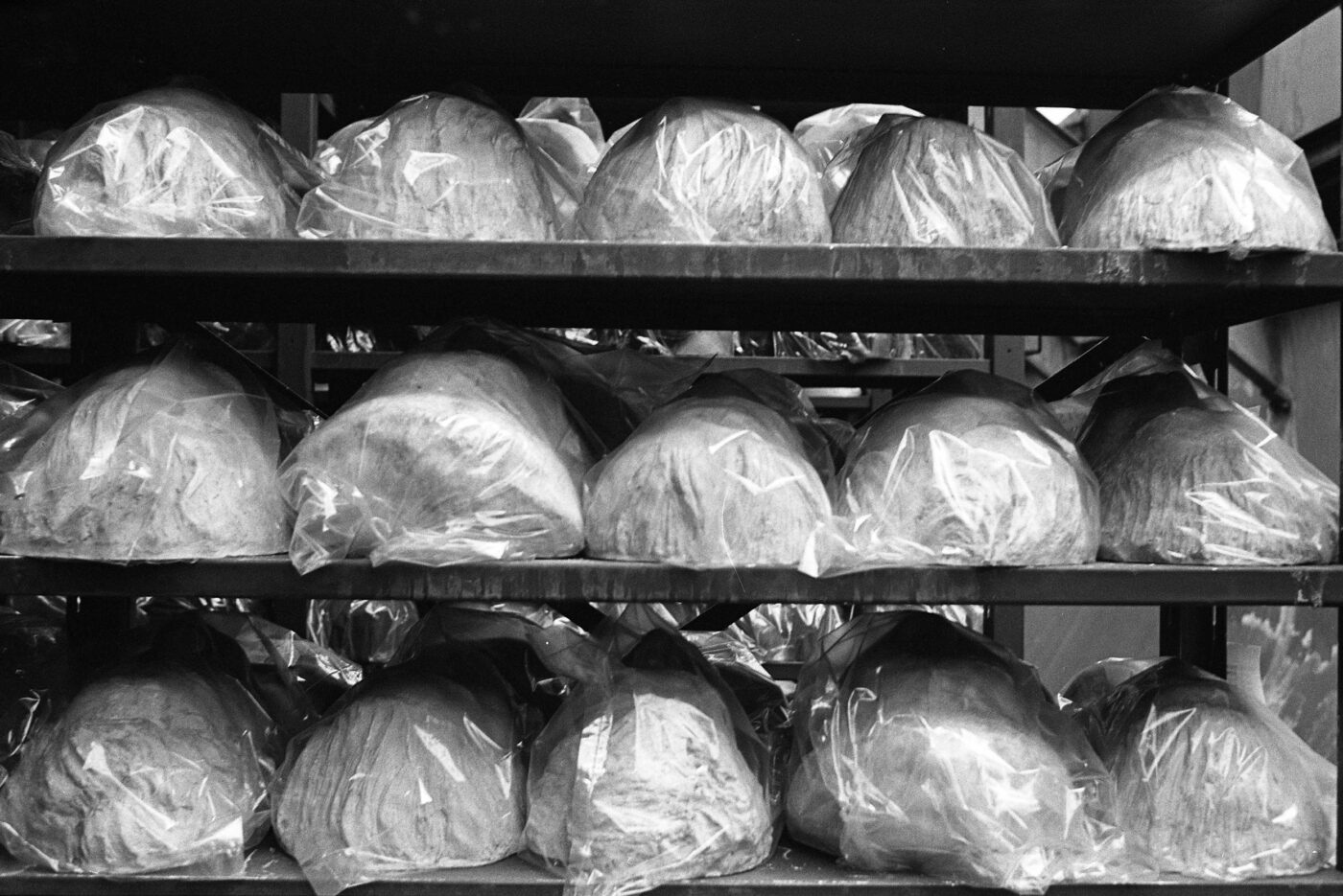 Photographic Social Vision - Bustos almacenados en The American Museum of Natural History. Nueva York, 1981