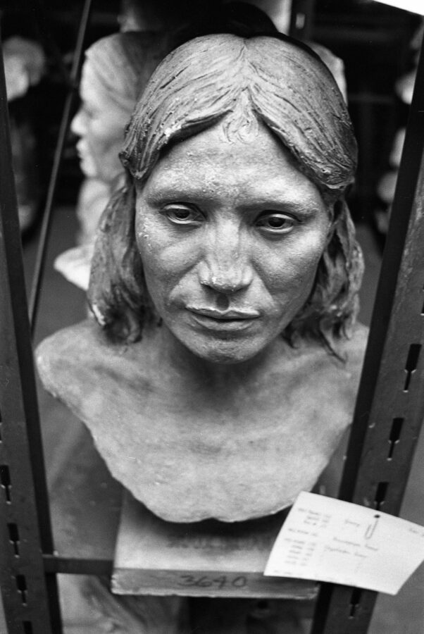 Photographic Social Vision - Bustos almacenados en The American Museum of Natural History. Nueva York, 1981