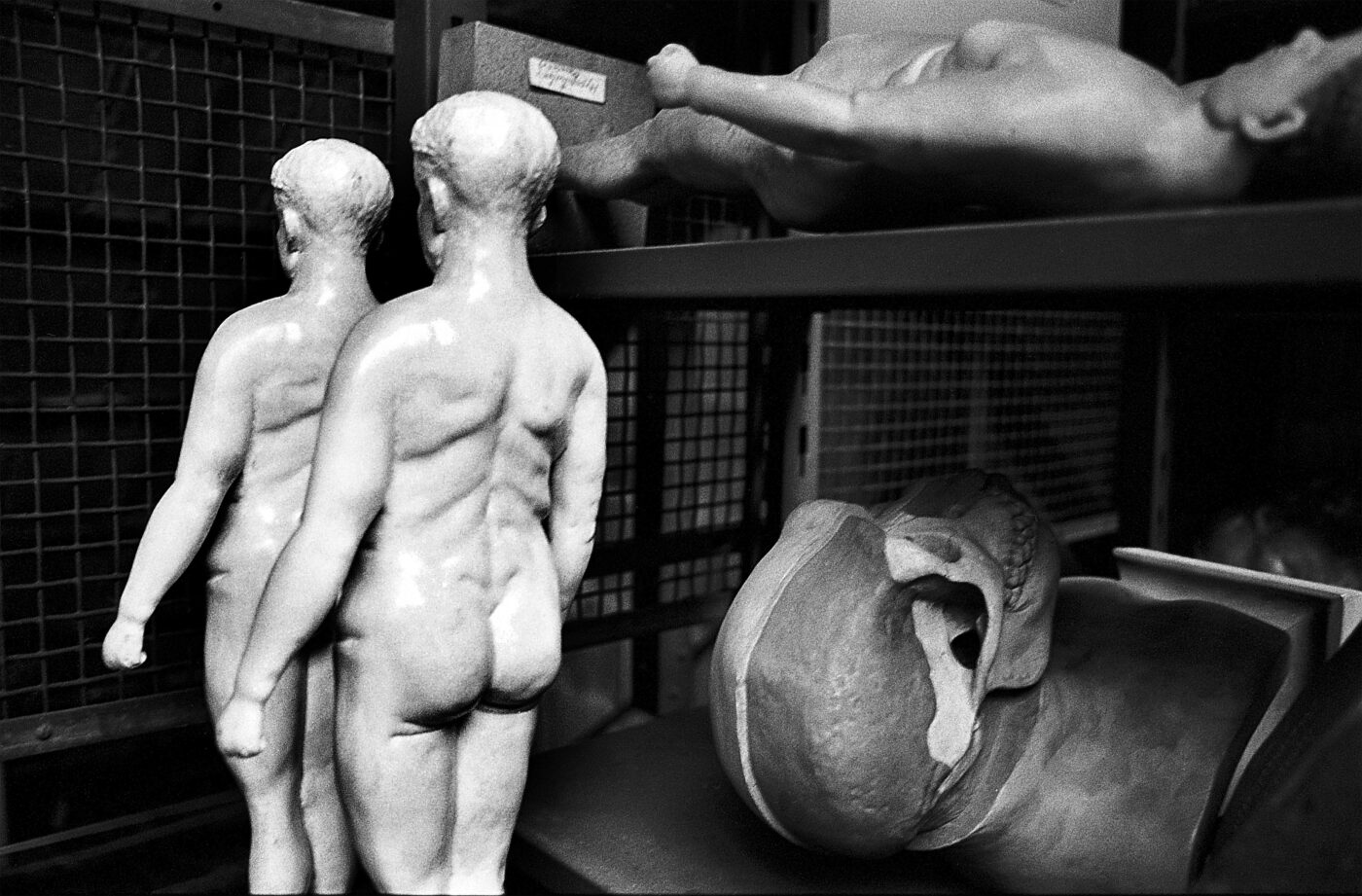 Photographic Social Vision - Bustos almacenados en The American Museum of Natural History. Nueva York, 1981