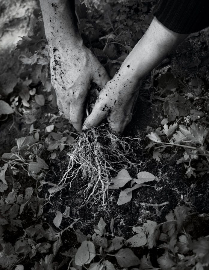 Photographic Social Vision - Dones de terra