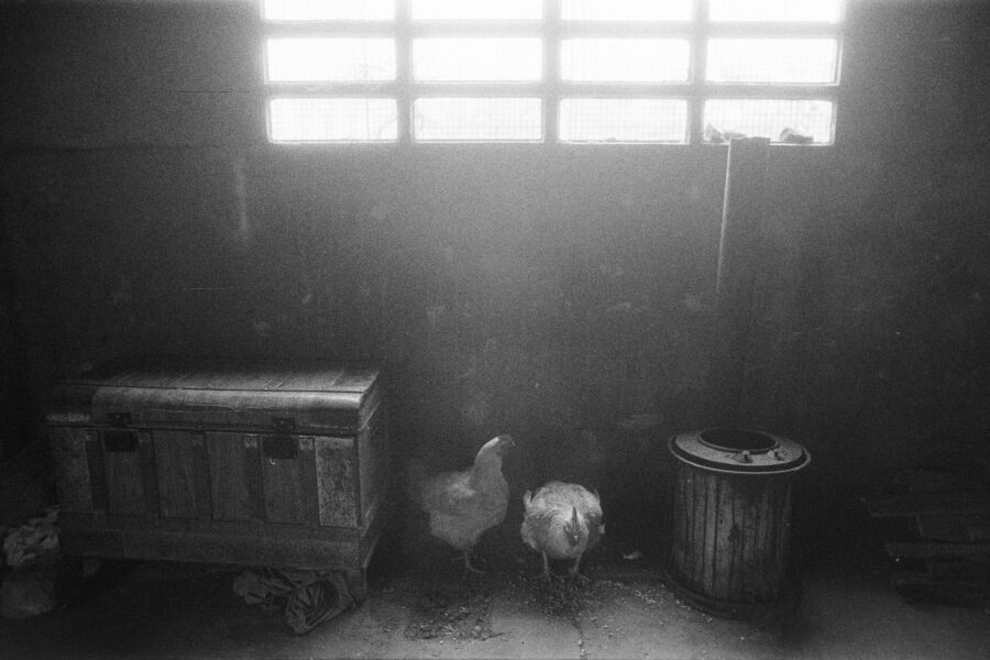 Photographic Social Vision - Assentament gitano afectat per la riuada. Ripollet, Barcelona, 1984